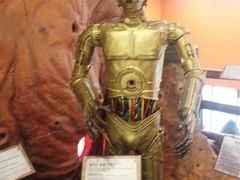 -信不信由你博物馆