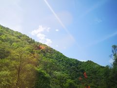-关山草原
