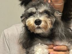 -乖乖宠物医院·猫科·骨科·24小时(云岗分院)