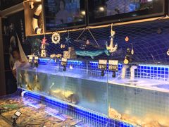 -必点海鲜·鲅鱼水饺(鞍山西道店)