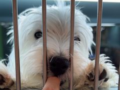 -FAELING PETS美天灵宠物(合生汇店)