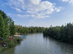 -上海长兴岛郊野公园