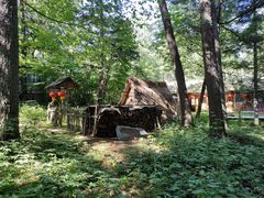 -五营国家森林公园