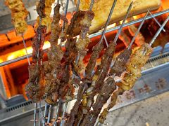 -邢氏老太太烧烤(南山店)