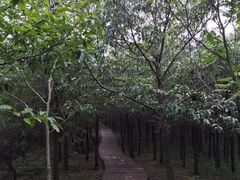 -北京十三陵国家森林公园蟒山景区