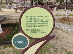 -月湖风景区