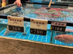 -猪肉婆私房菜(容桂总店)