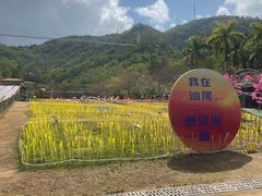 -汕尾铜鼎山旅游区