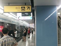 -大龙山(地铁站)