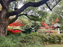-申粤轩酒楼·三十年粤菜经典(丁香花园店)