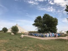 -亿利库布其七星湖沙漠生态旅游区