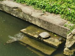 -宁波市保国寺古建筑博物馆