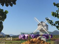 -北京东方普罗旺斯薰衣草庄园