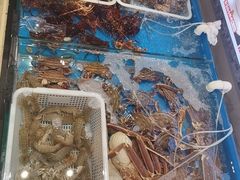 -俏东方·海味水饺·青岛菜(崂山店)