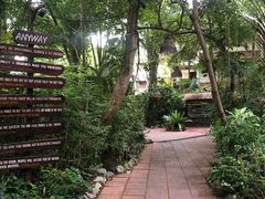 -卷心菜和避孕套餐厅(Pattaya)