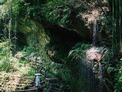 -川西竹海景区