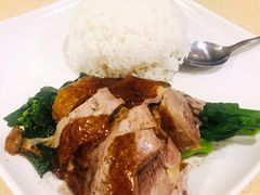 招牌脆皮烧鸭-肥妹烧腊店(翠竹路店)