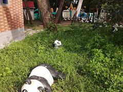 -南戴河国际娱乐中心