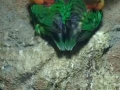 -洛阳龙门海洋馆