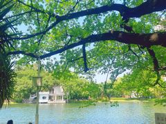 -晓港公园