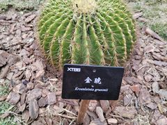 -中国科学院西双版纳热带植物园