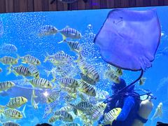 -左海海底世界