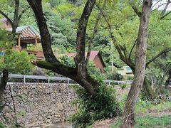 -北仑森林植物园