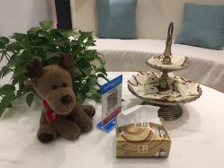 -健身堂科技美肌SPA