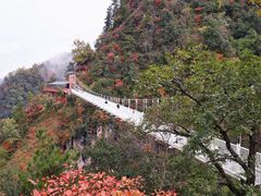 -塔云山