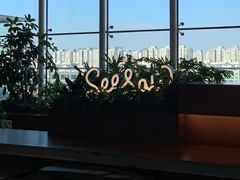 -Seesaw Coffee(朝阳大悦城店)