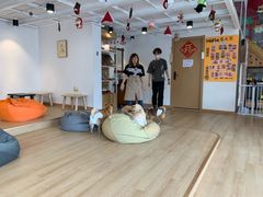 -南京Hallo宠物乐园·哈罗犬舍·柴犬繁育基地