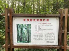 -东平国家森林公园