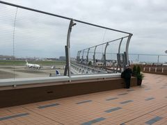 -TIAT DUTY FREE SHOP NORTH(羽田机场店)