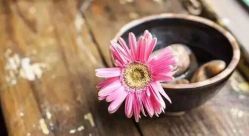 -悦芳庭美肤美体品牌集合店