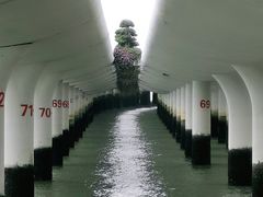 -演武大桥观景平台