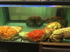 -金唐海鲜酒家