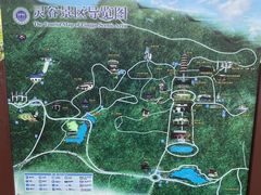 -灵谷景区