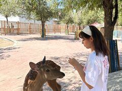 -水上乐园·欢乐世界