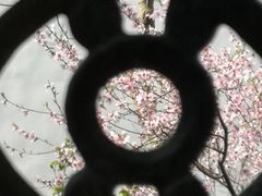 -杭州花家山庄