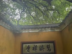 -普陀山风景区-佛顶山