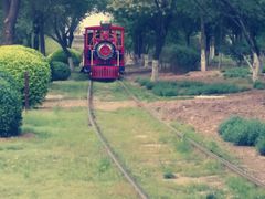 -永定河休闲森林公园