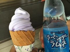 -富田农场