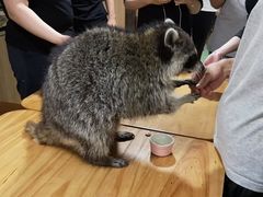 -藦茜花园宠物主题亲子互动体验馆(国顺东路店)