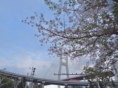 -南浦大桥长途旅游客运站