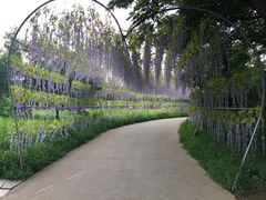 -南戴河国际娱乐中心