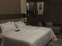 -扬州绿地铂骊酒店