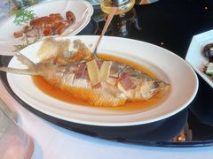 太雕酒香蒸鲥鱼-上海小南国(正大店)