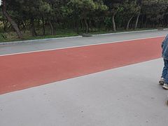 -日照海滨国家森林公园