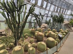 -北京植物园-展览温室