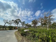 -春花秋色城市公园